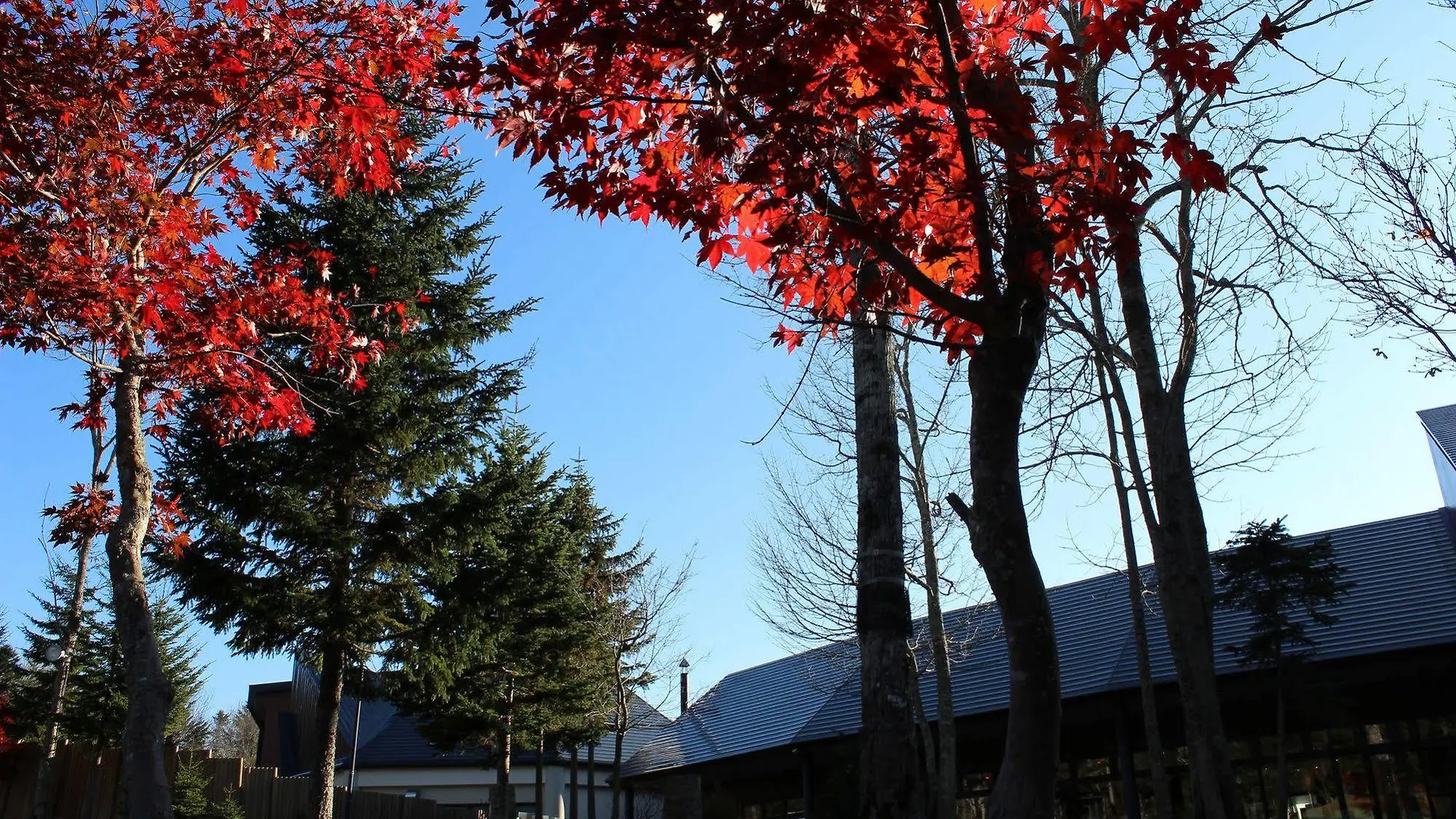 Moritsubetsu Hotel Tsubetsu