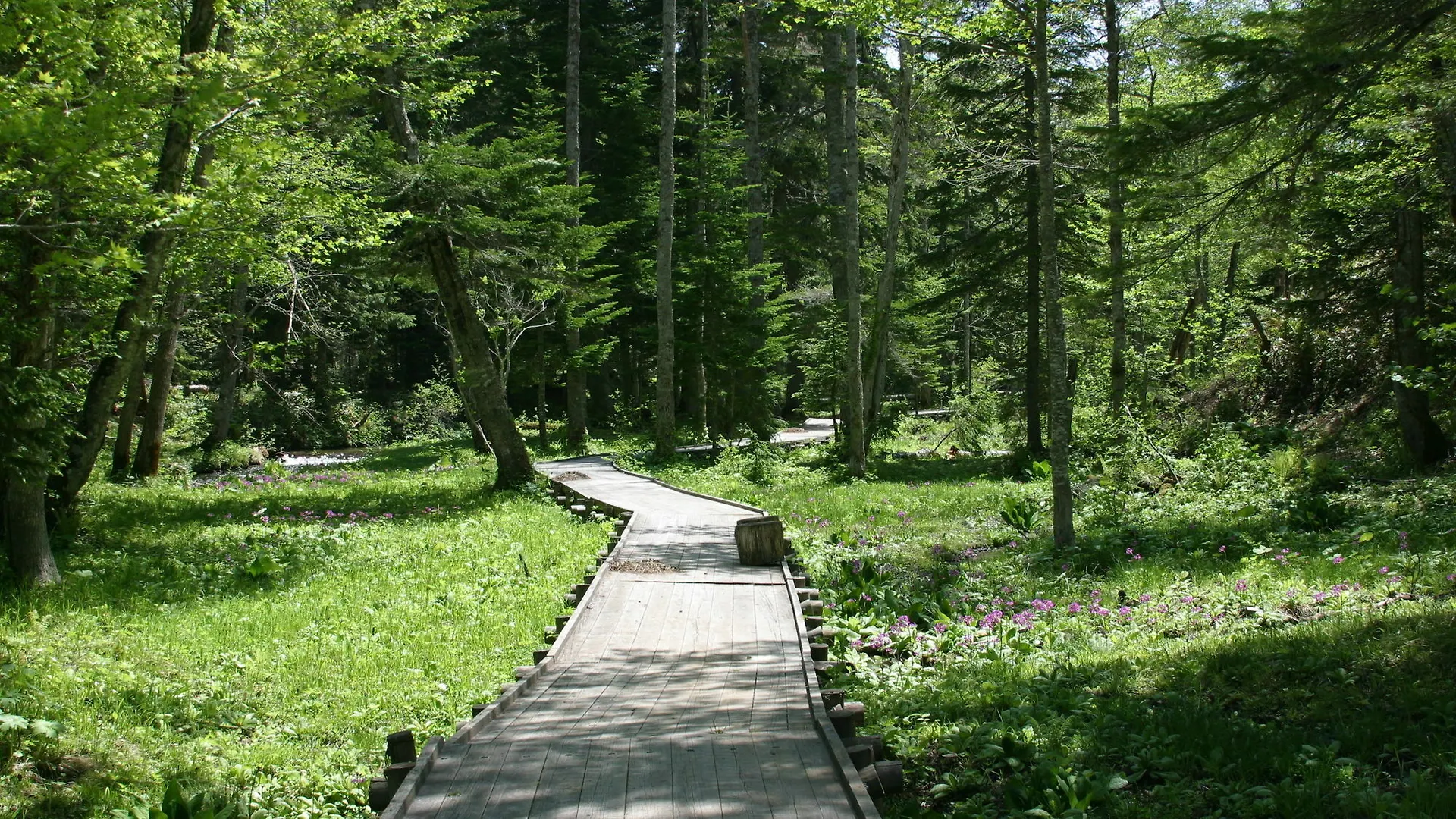 Moritsubetsu Hotel Japan